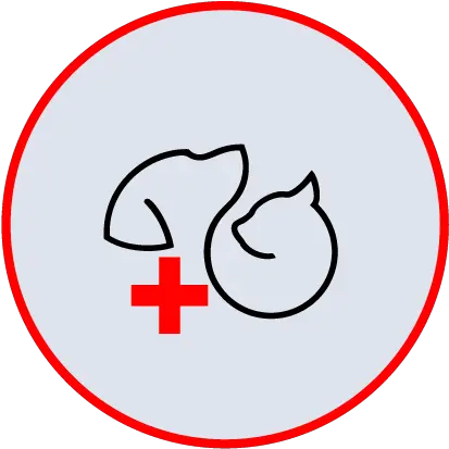  Bundaberg Vet Emergency Animal Hospital Language Png Blood Fury Icon