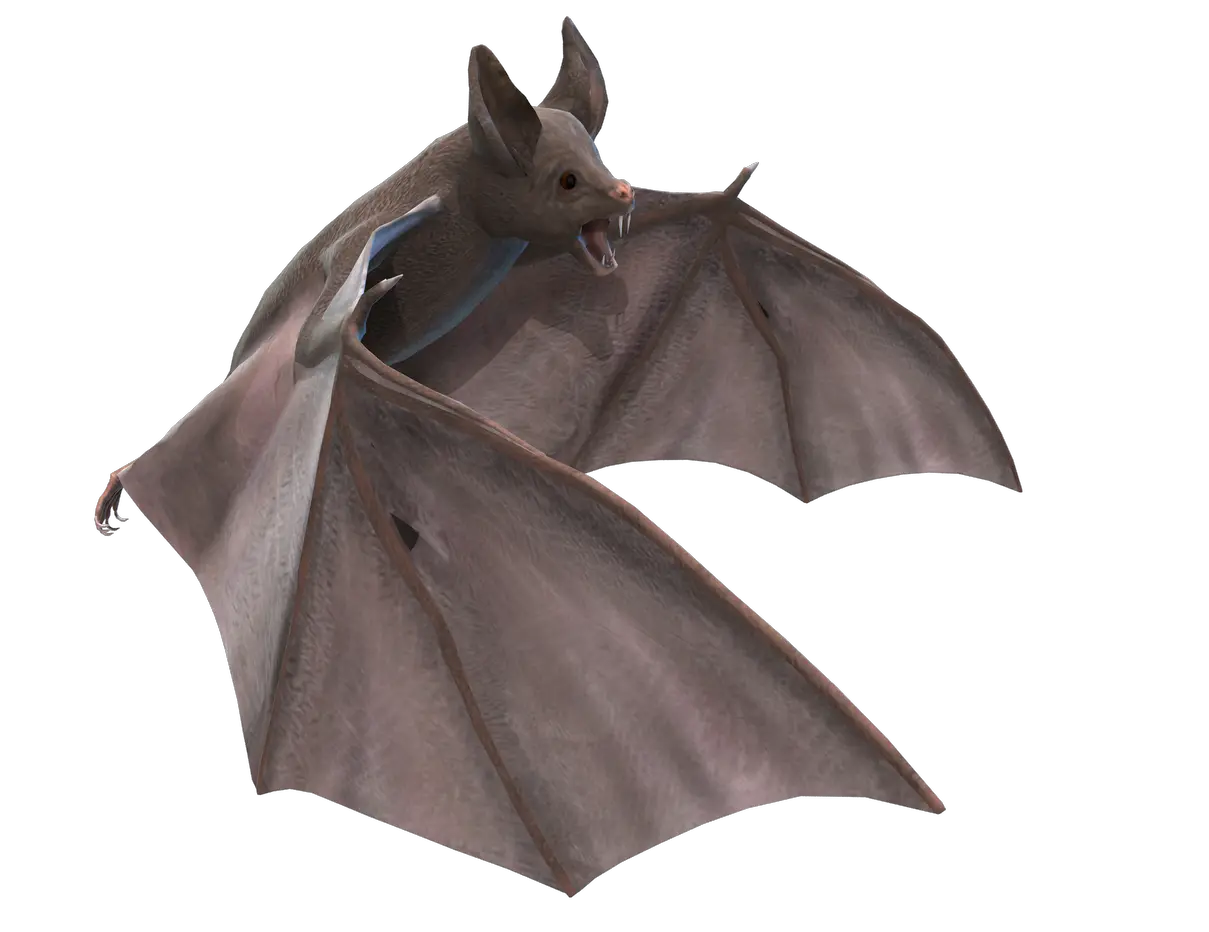  Download Bat Png Images Background Bat Animal Png Hd Bats Png