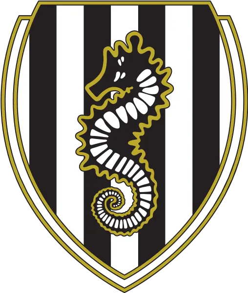  Ac Cesena 70u0027s Logo Download Logo Icon Png Svg Ac Cesena Logo Seahorse Icon