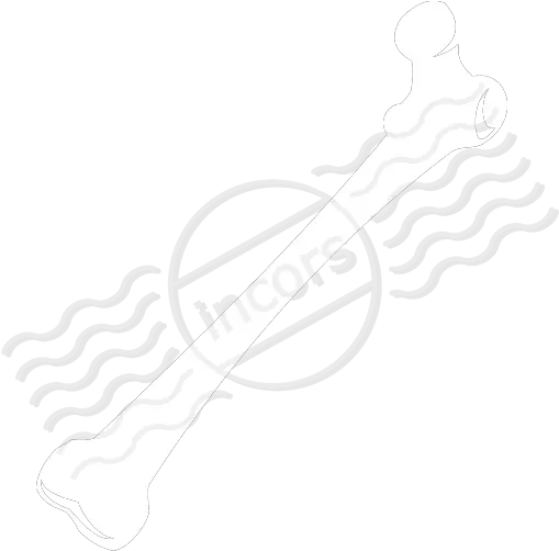  Iconexperience M Bone Png Bone Icon