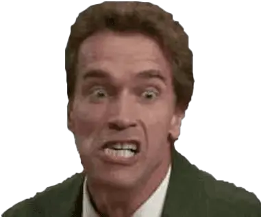  Arnold Schwarzenegger Transparent Arnold Schwarzenegger A Kindergarten Cops Png Arnold Schwarzenegger Transparent