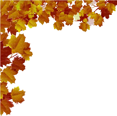  Falling Leaves Gif Transparent Fall Leaves Transparent Gif Png Fall Leaf Transparent