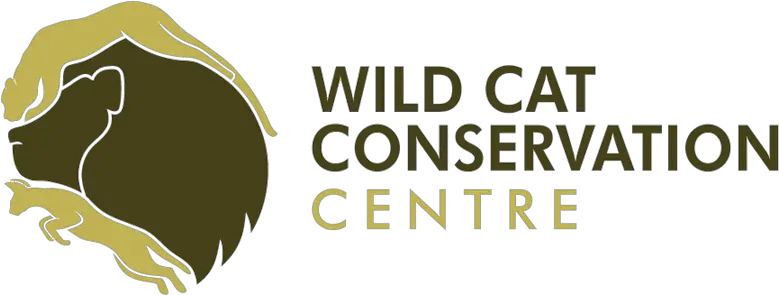  Wild Cat Cheetah Conservation Wild Cat Conservation Logo Png Cheetah Logo