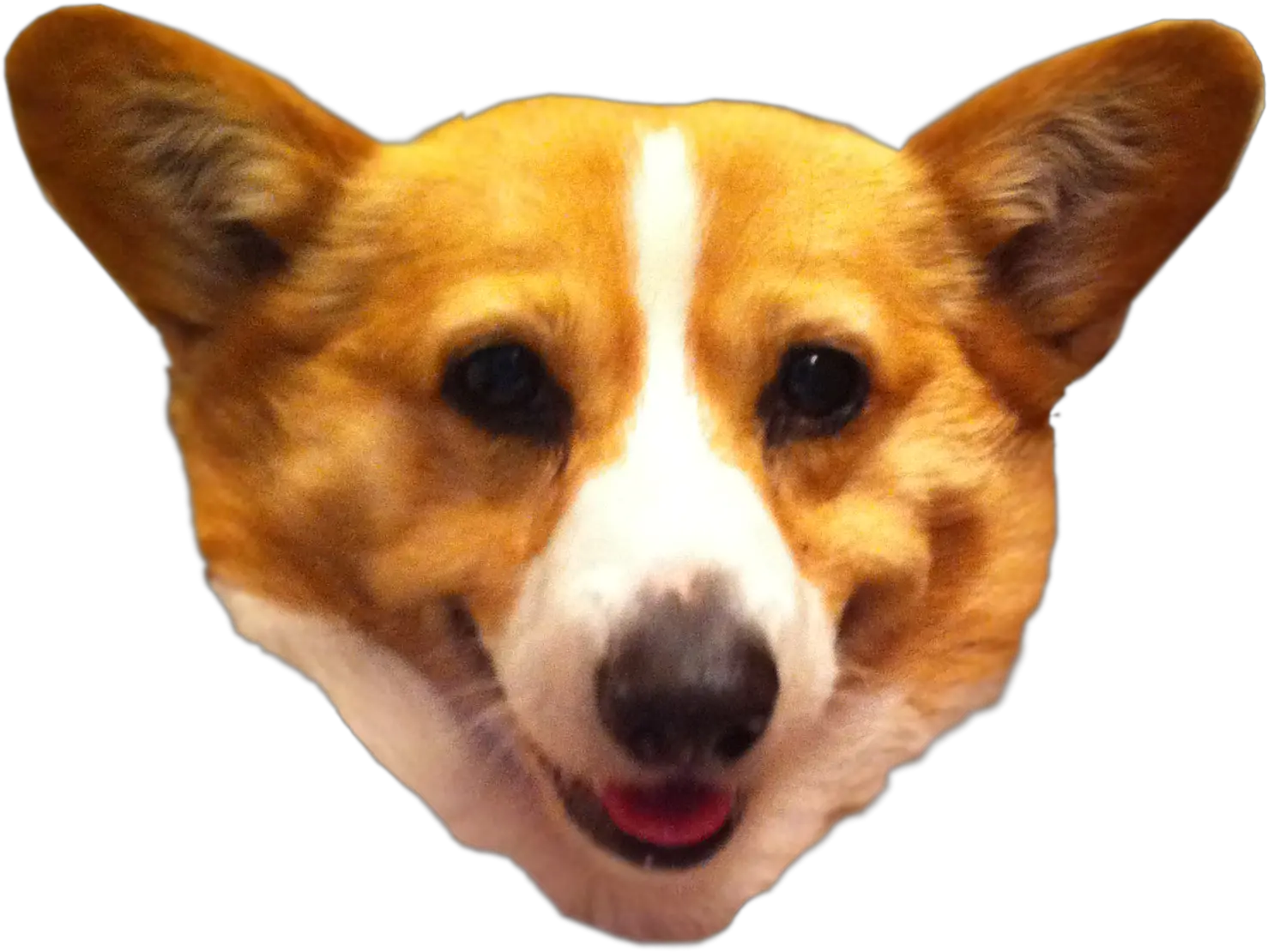  Download Transparent Background Corgi Transparent Background Dog Head Transparent Png Corgi Png