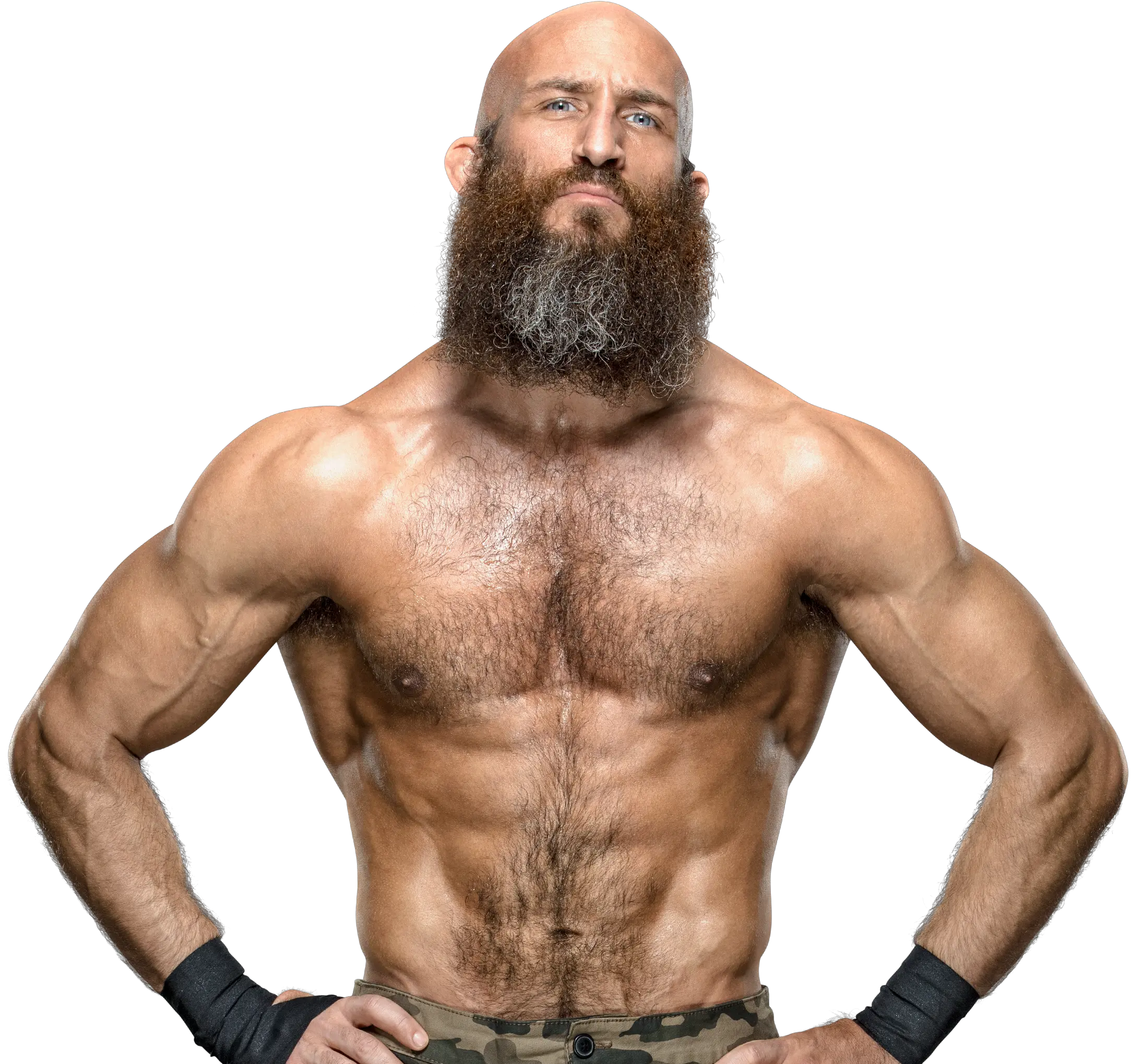  Aug Tommaso Ciampa United States Champion Png Tyler Breeze Png