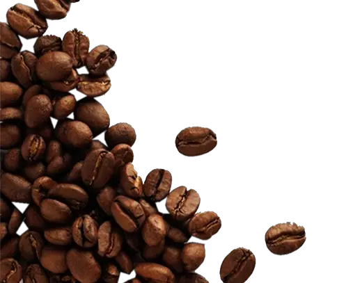  Download Cacaos Free Png Image Granos De Café Y Cacao Coffee Beans Transparent