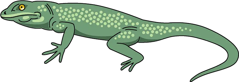  Lizard Clipart Free Download Transparent Png Creazilla Clip Art Lizard Png