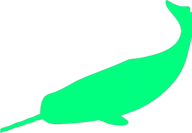  Narwhal Clipart Green Silueta Narval Png Download Full Clip Art Narwhal Png