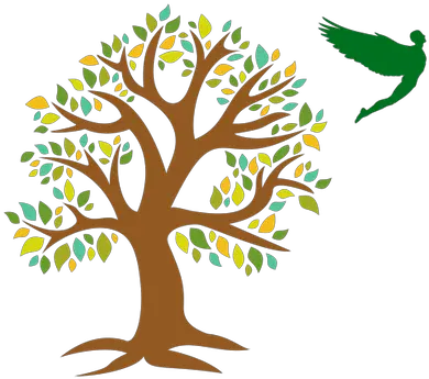  Cropped Bigtreeonlyfaviconpng U2013 Lihigh School Tree Of Philosophy By Branches Big Tree Png