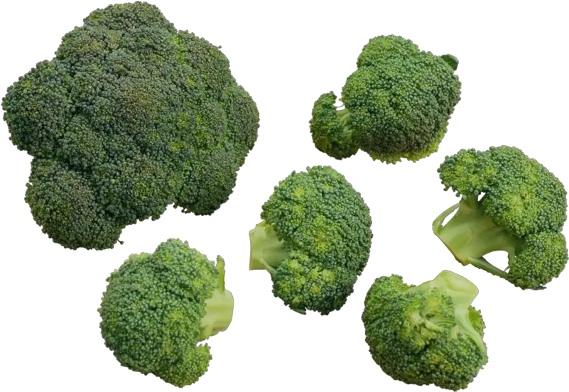  Download Free Png Broccoli Backgroundtransparent Dlpngcom Cauliflower Broccoli Transparent