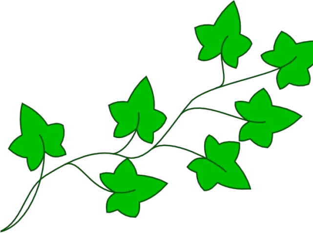  Drawn Jungle Free Clip Art Poison Ivy Cartoon Plant Png Ivy Png