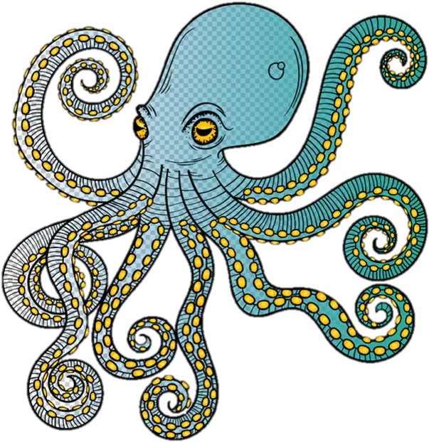  Download Polvo Octopus Full Size Png Image Pngkit Octopus Octopus Png