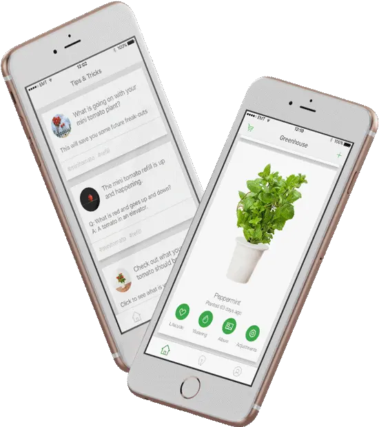  Urban Gardening App For Click U0026 Grow Click For Mobile App Png Iphone Tips Icon