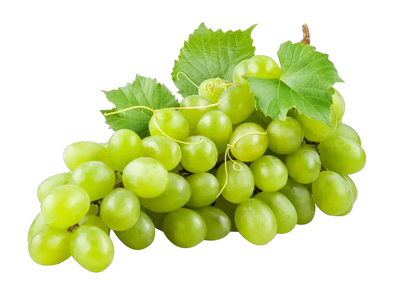  Green Grapes Transparent Images Fruits Chart With Names Png Grape Png