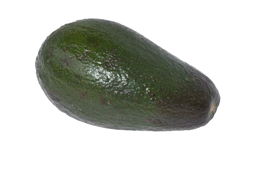  Avocado Png Image Avocado Avocado Transparent Background