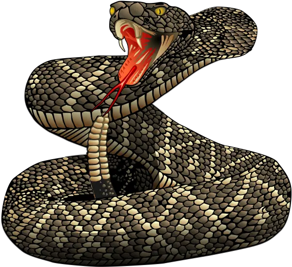  Download Rattlesnakepngfile Free Transparent Png Images Rattlesnake Png Cartoon Snake Png