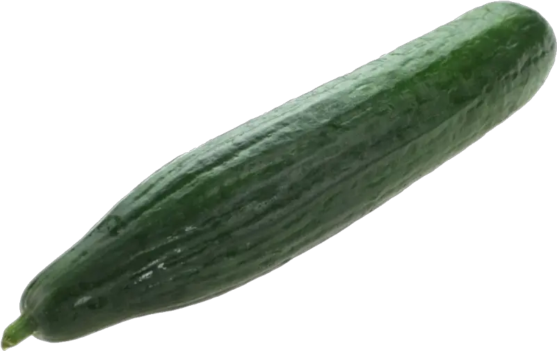  Png Background Transparent Background Cucumber Png Cucumber Transparent