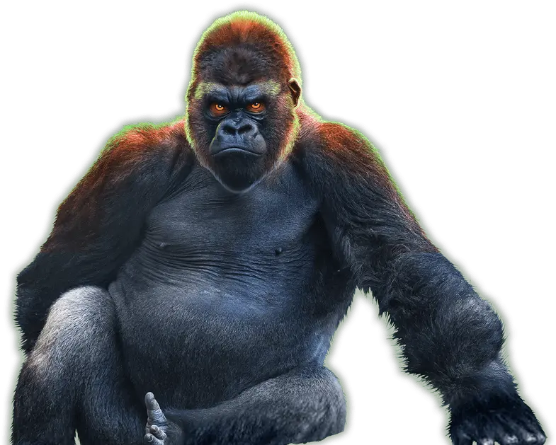  Download Epic Ape Epic Ape Slot Png Ape Png