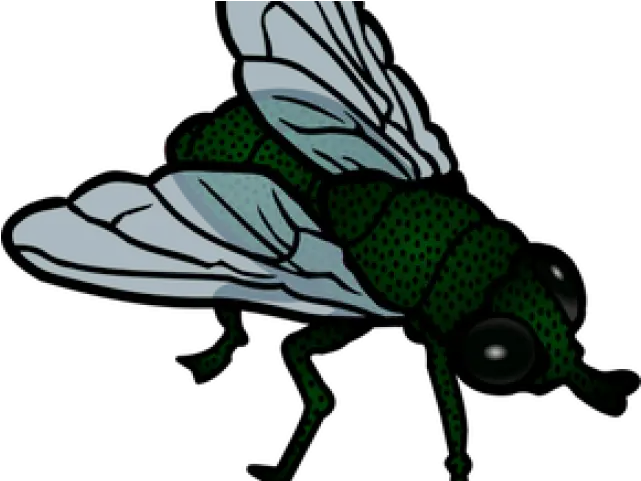  Flies Clipart Little Bug Clip Art Fly Png Flies Png