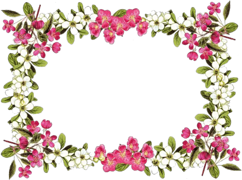  Download Flowers Borders Png Clipart Hq Flower Frame With Transparent Background Flowers Clipart Png