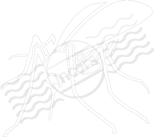  Mosquito Icon White Mosquito Icon Png Mosquito Transparent