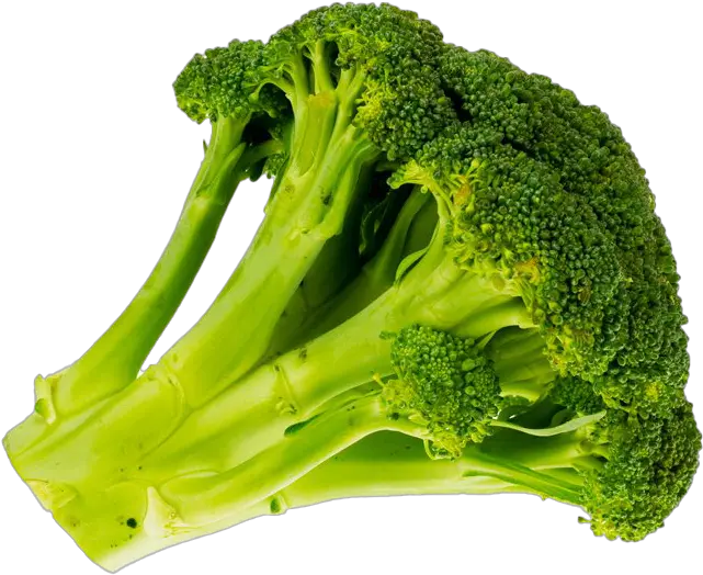  Green Broccoli Transparent Background Vitamin B Vegetables Png Broccoli Transparent