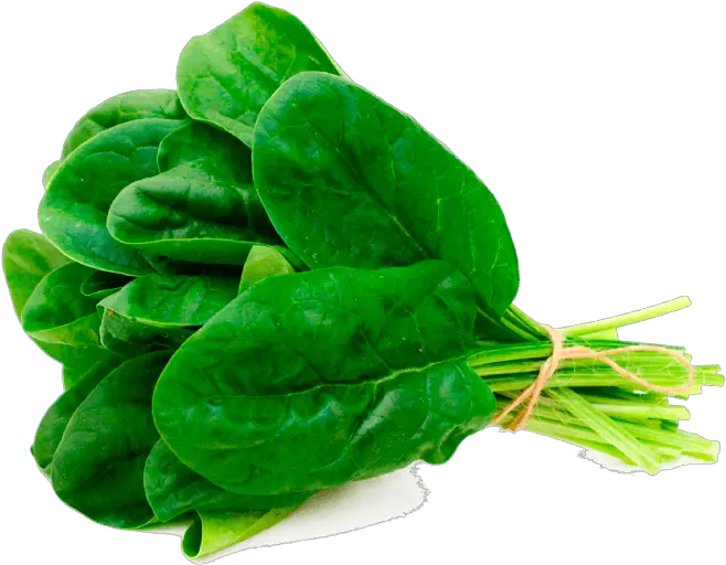  Vegetable Rich In Iron Spinach Kg Uae Png Spinach Png