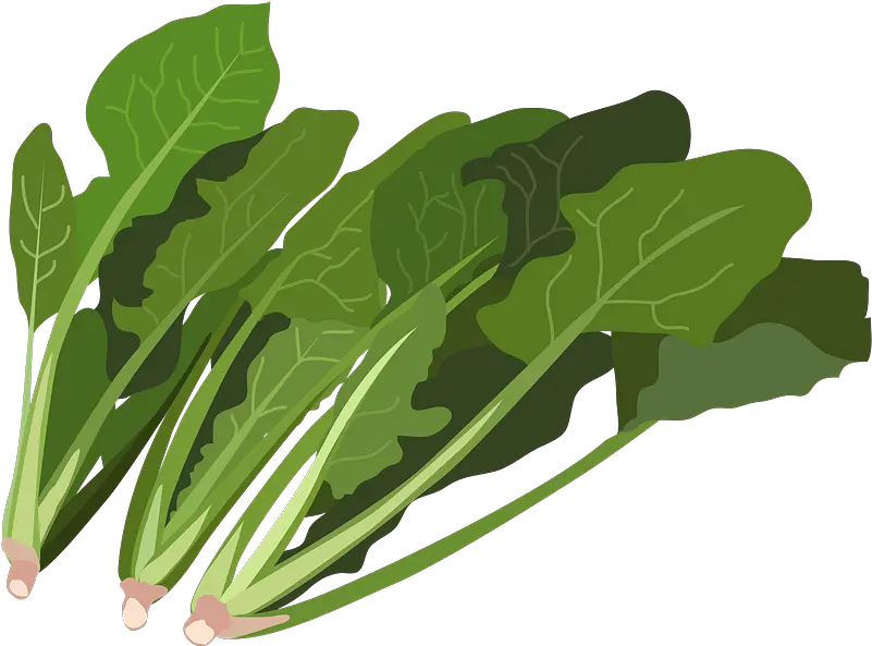  Clipart Vegetable Basket Clipart Png Spinach Png