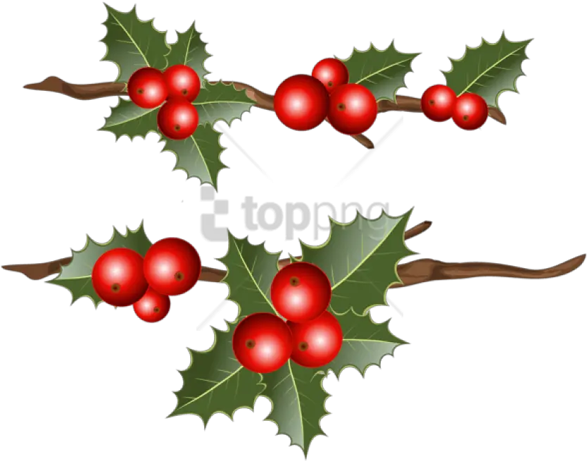  Holly Branches Png Images Transparent Holly Branch Clip Art Holly Png