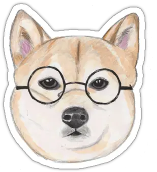  Pin Shiba Funny Png Shiba Inu Transparent