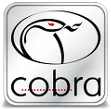  Cobra Technologies Language Png Cobra Icon