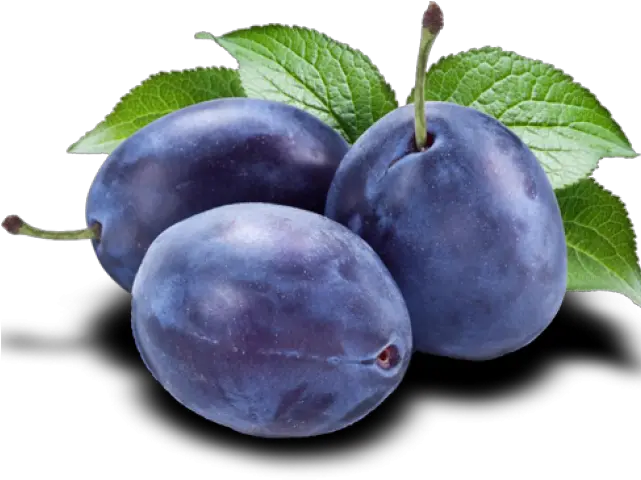  Plum Png Transparent Blue Plums Clip Art Plum Png