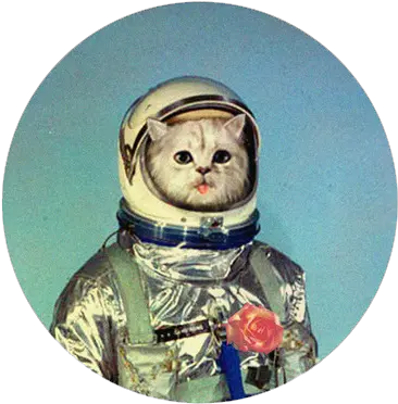  Dickbutt Cat Astronaut Png Dickbutt Png