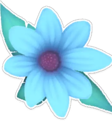  Blue Daisy African Daisy Png Daisy Png