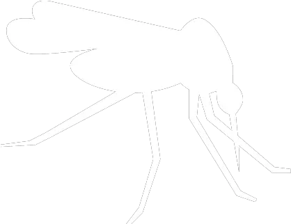  Mosquito Parasitism Png Mosquito Icon