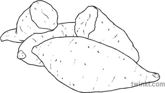  Yams Black And White Illustration Yam Black And White Png Yam Png