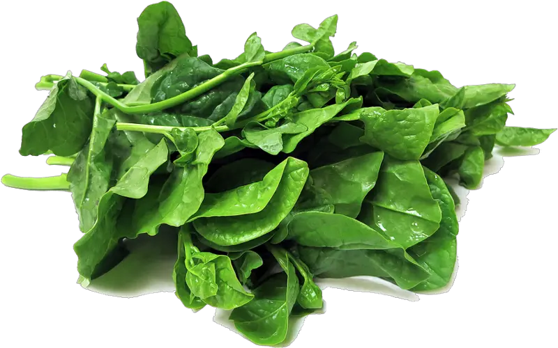  Spinach Transparent Png Spinach Transparent Png Spinach Png