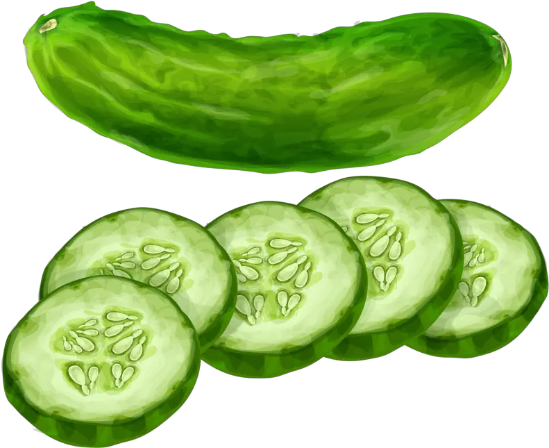  Vegetables Clipart Cucumber Cucumber Clipart Png Cucumber Png