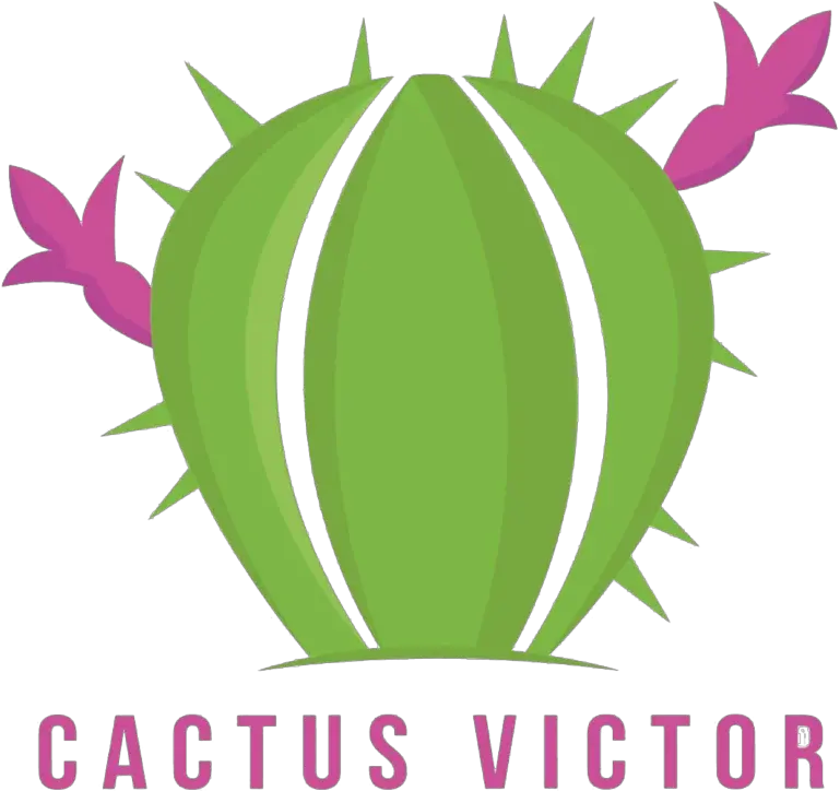  Inicio Clip Art Png Cactus Logo