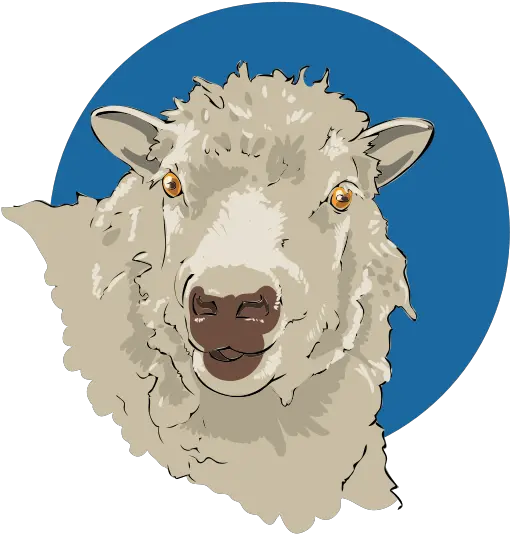  Filesheep Closeup 03svg Wikimedia Commons Sheep Face Png Lamb Icon