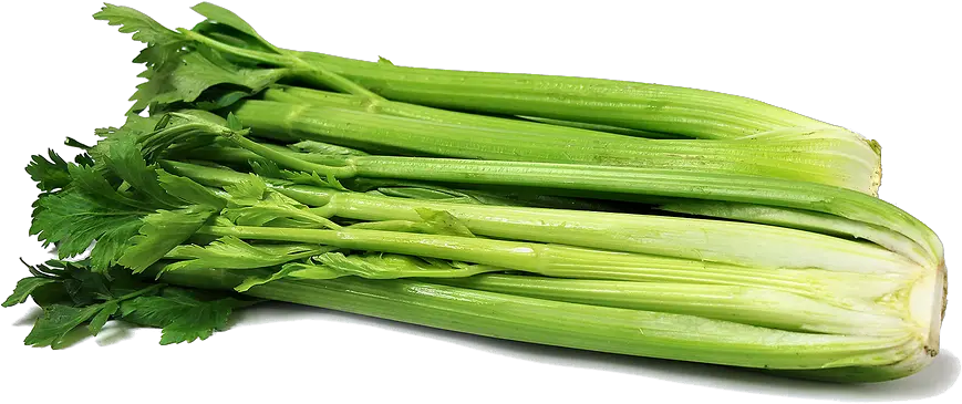  Download Celery Png Clipart 098 Celery Clipart Transparent Celery Png