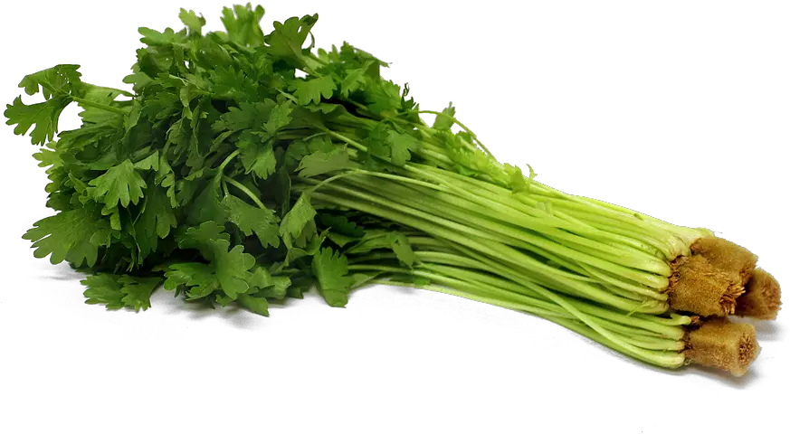  Download Celery Png Pic Celery Png Celery Png