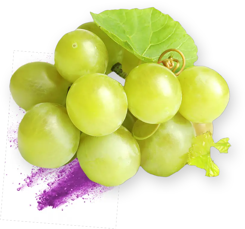  Grape Extract Specialist Nexira Grape Png Grape Png