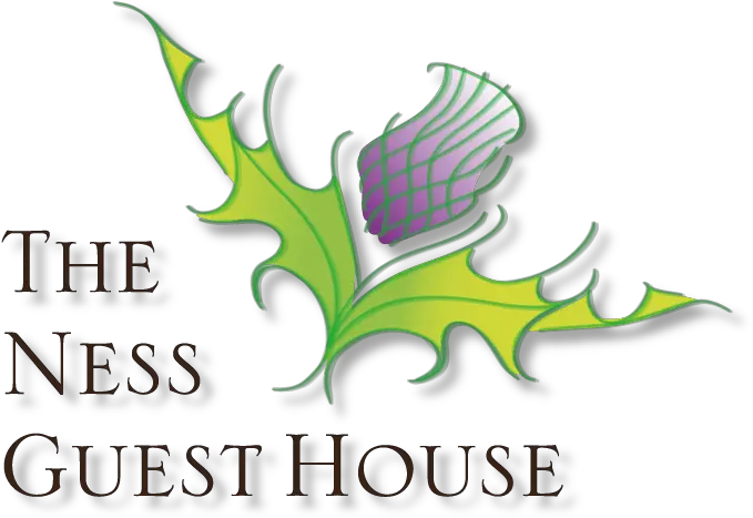  The Ness Guest House Language Png Ness Transparent