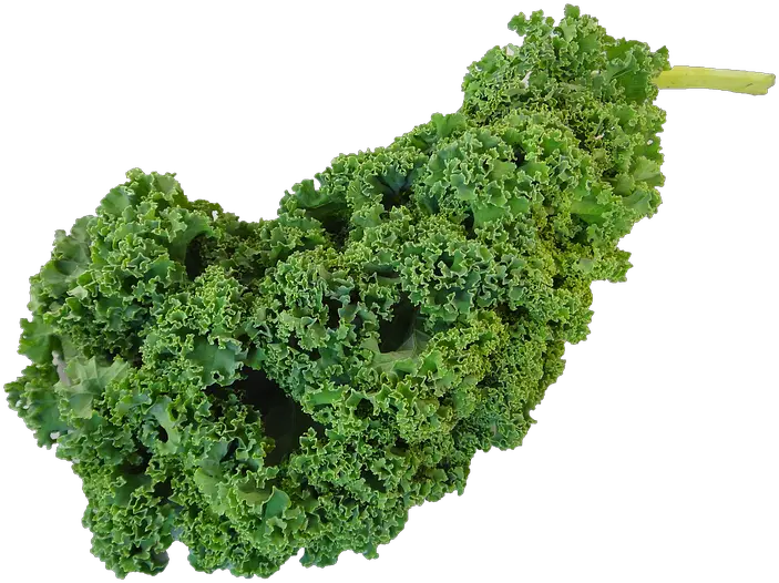  Kale Png Clipart Kiel Vegetable Kale Png