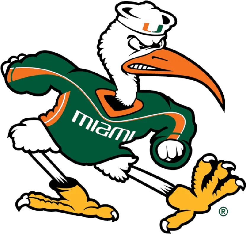  University Of Miami U2014 Daytripper Png