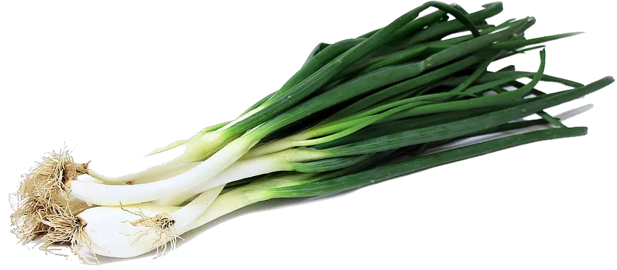  Green Onion Png Image Green Onion Png Onion Png