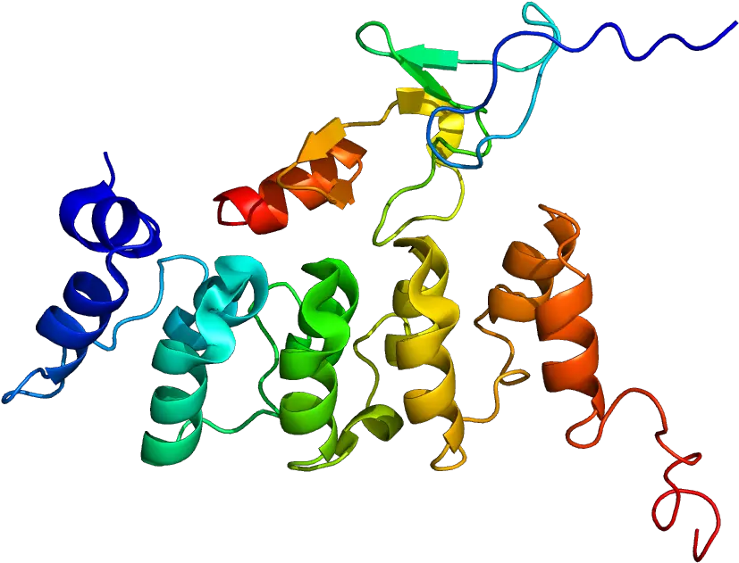  Protein Ilk Pdb 2kbx Illustration Png Gon Png