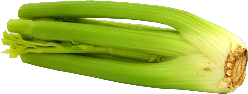  Celery Png Image Celery Celery Png