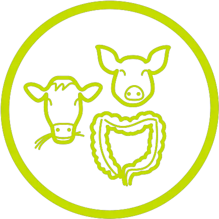  Higher Value Animal Coproducts Novozymes Language Png Gag Icon